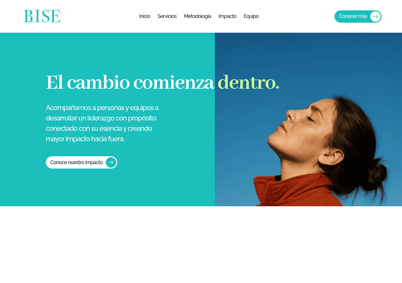 Screenshot of bisecoaching.com