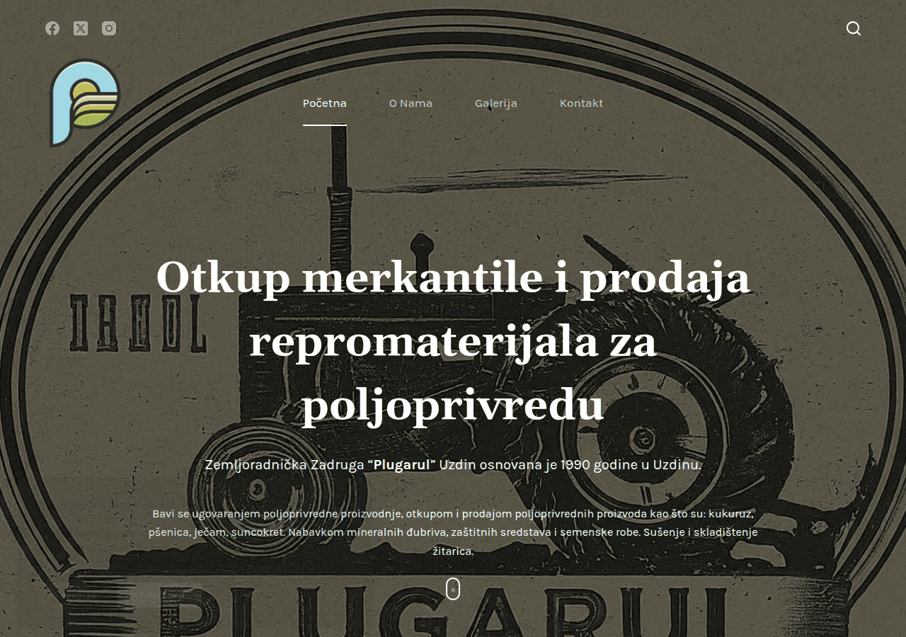Screenshot of zzplugarul.com