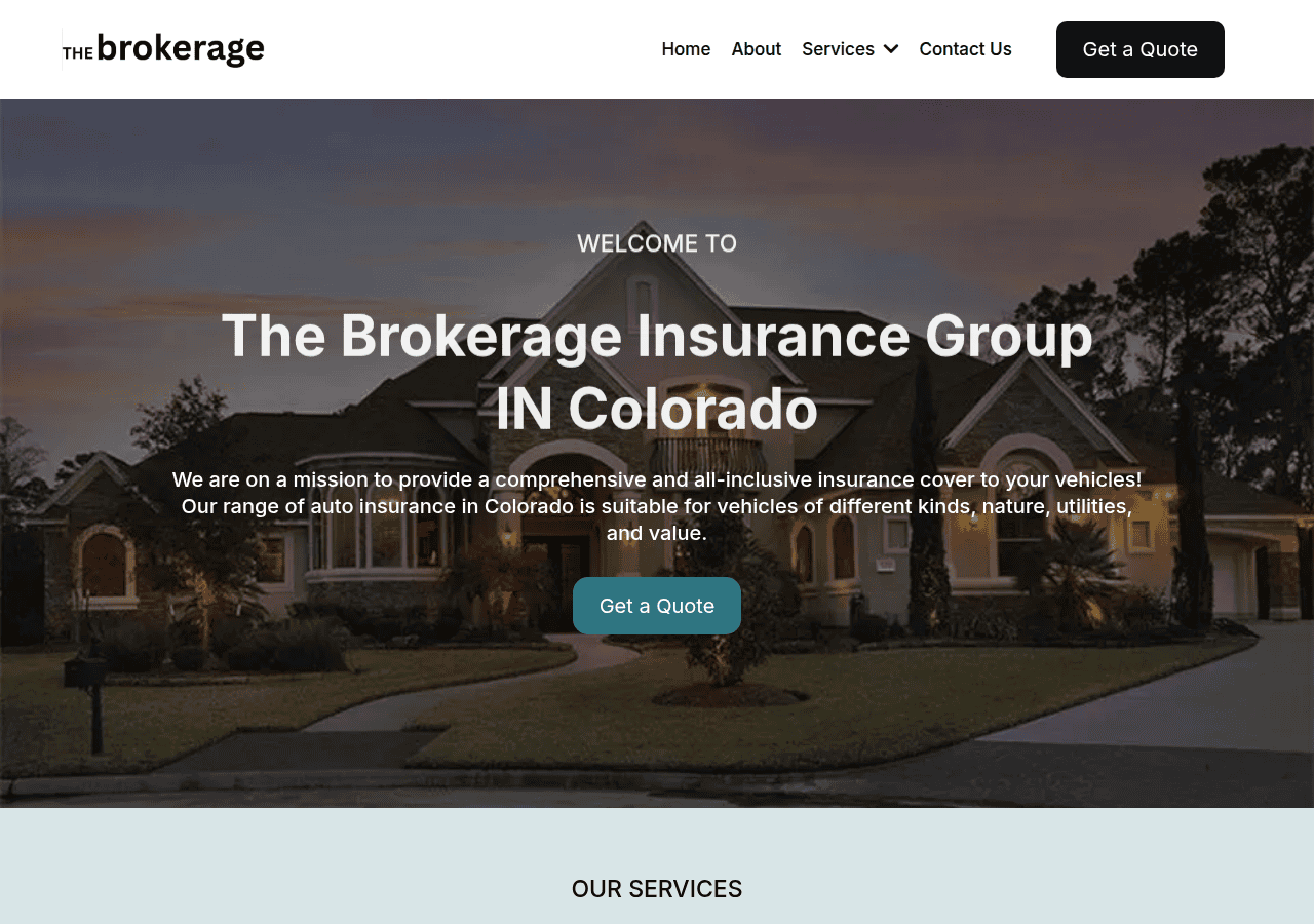 Screenshot of thebrokerageinsurancegroup.info