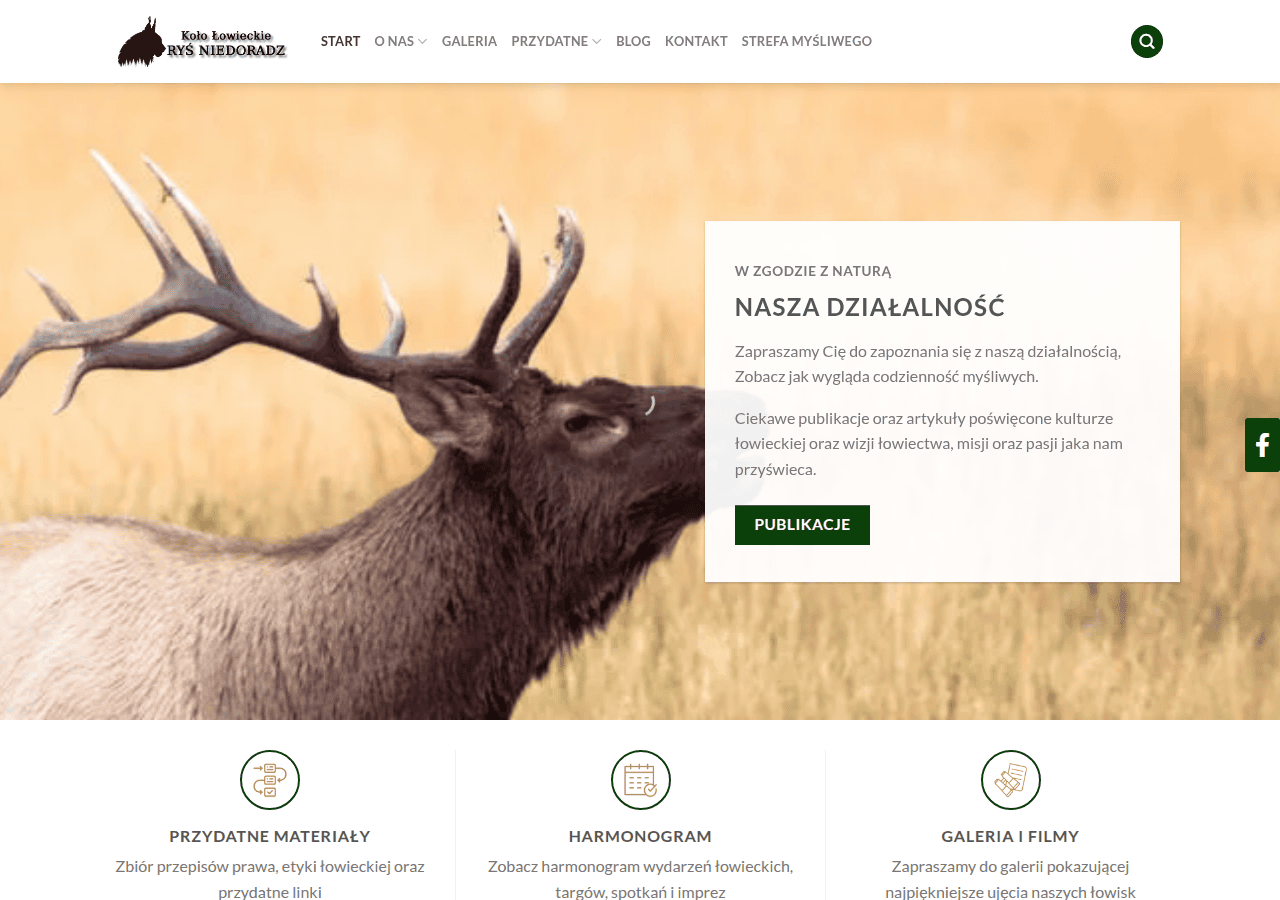 Screenshot of rysniedoradz.pl