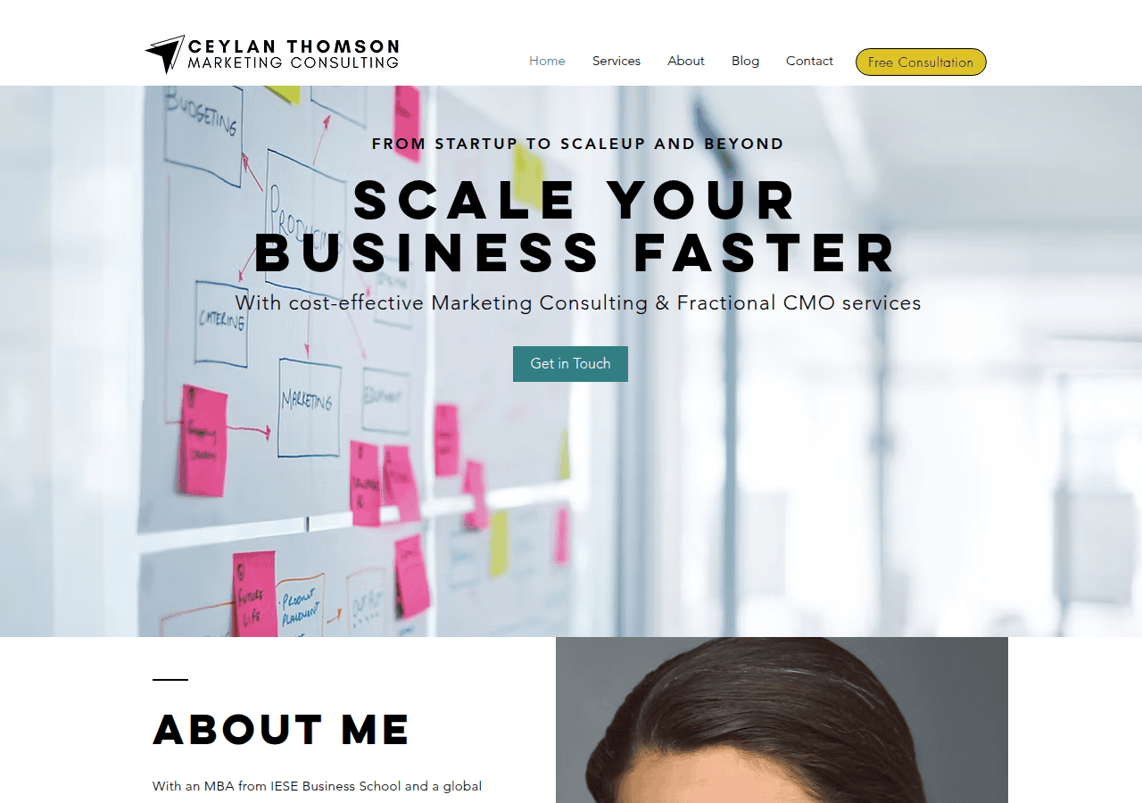 Screenshot of ceylanthomson.com