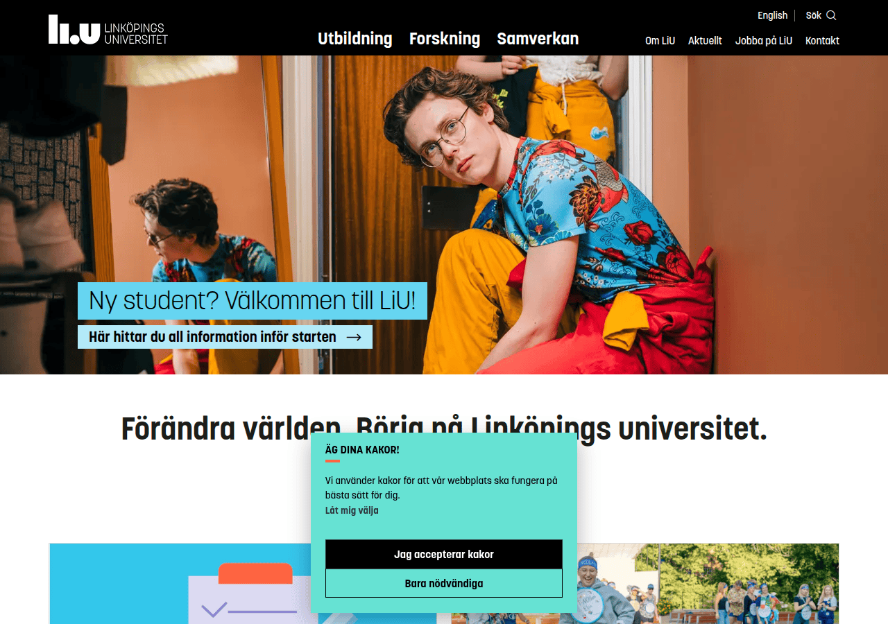 Screenshot of liu.se