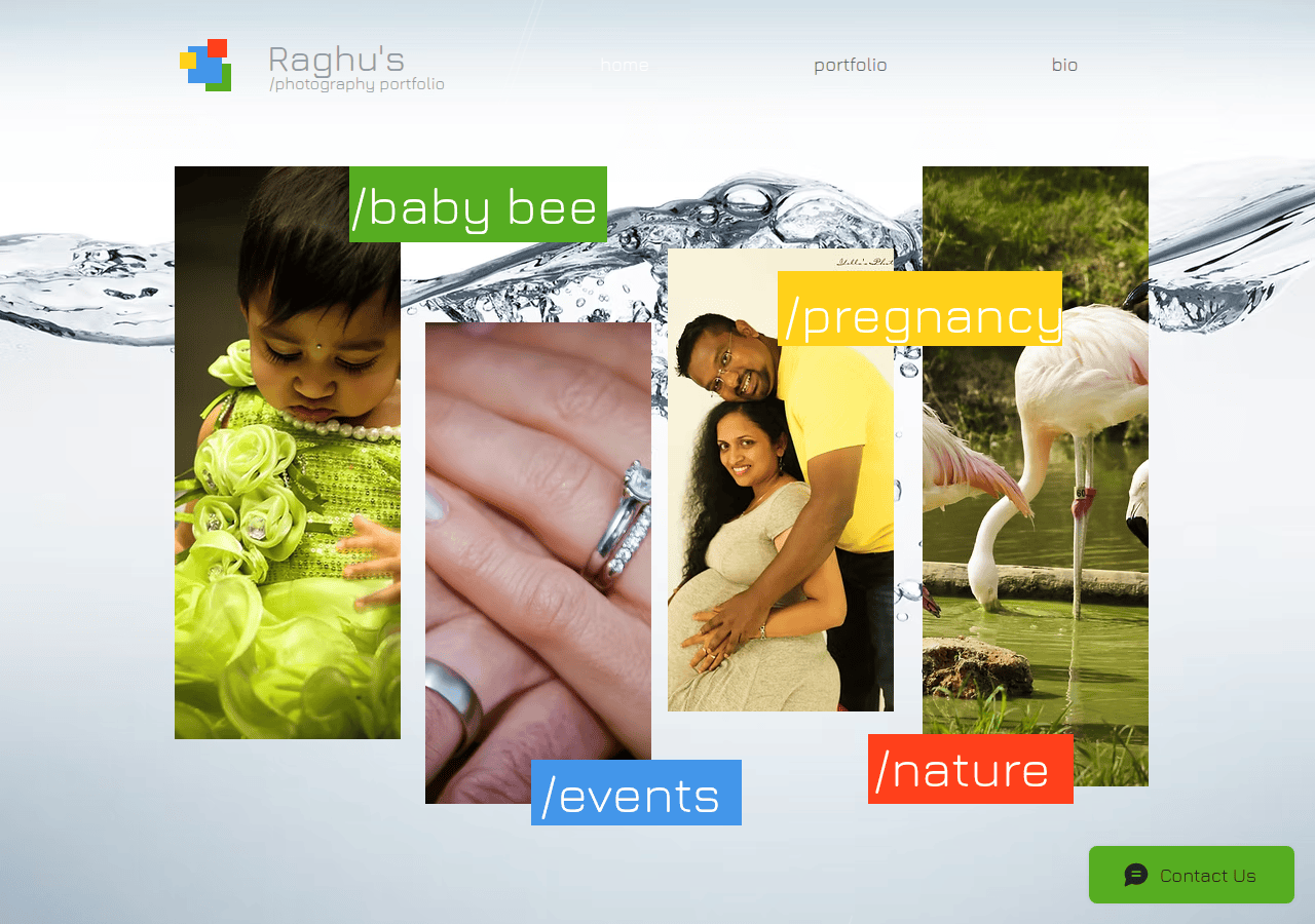 Screenshot of raghusphotography.com