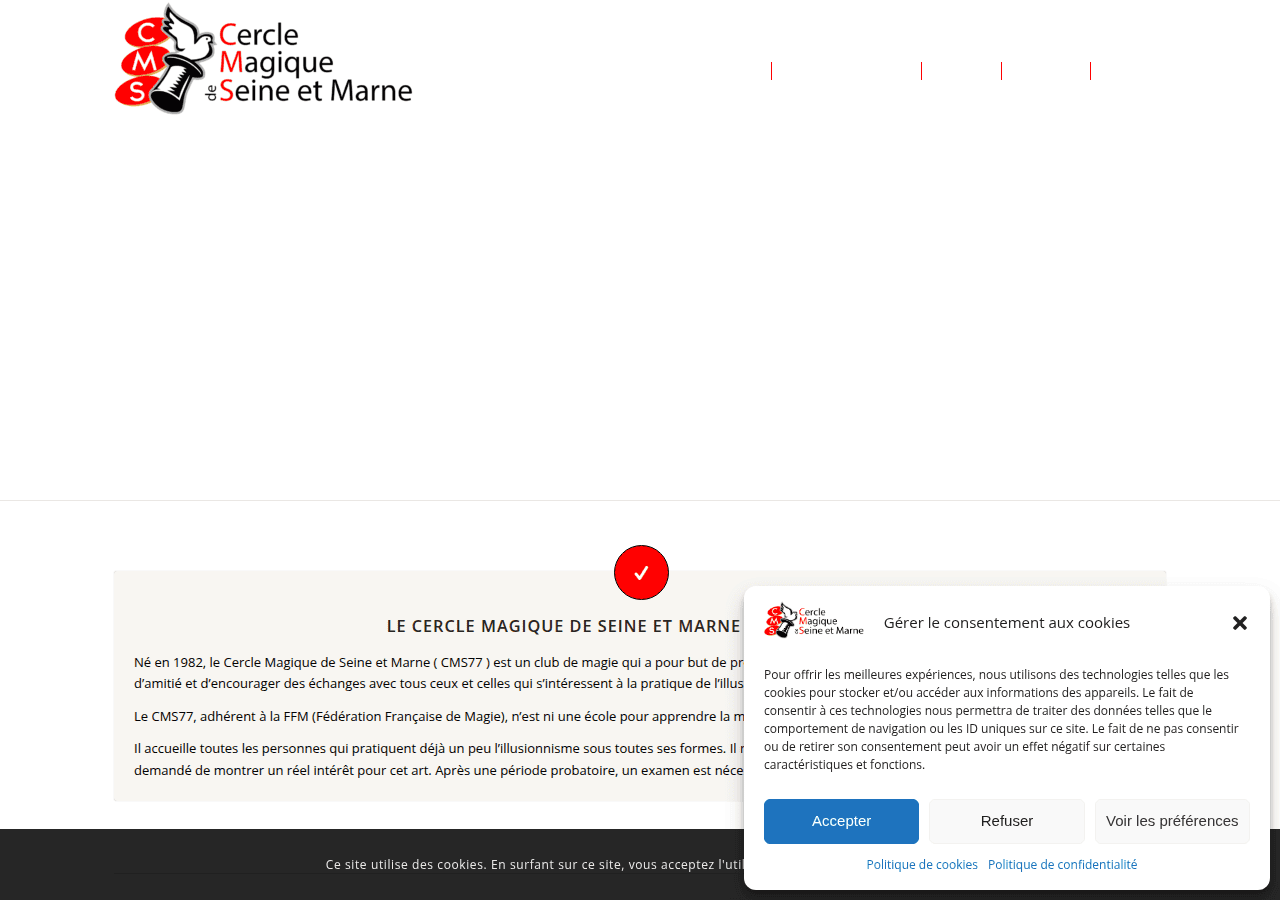 Screenshot of magie77.fr