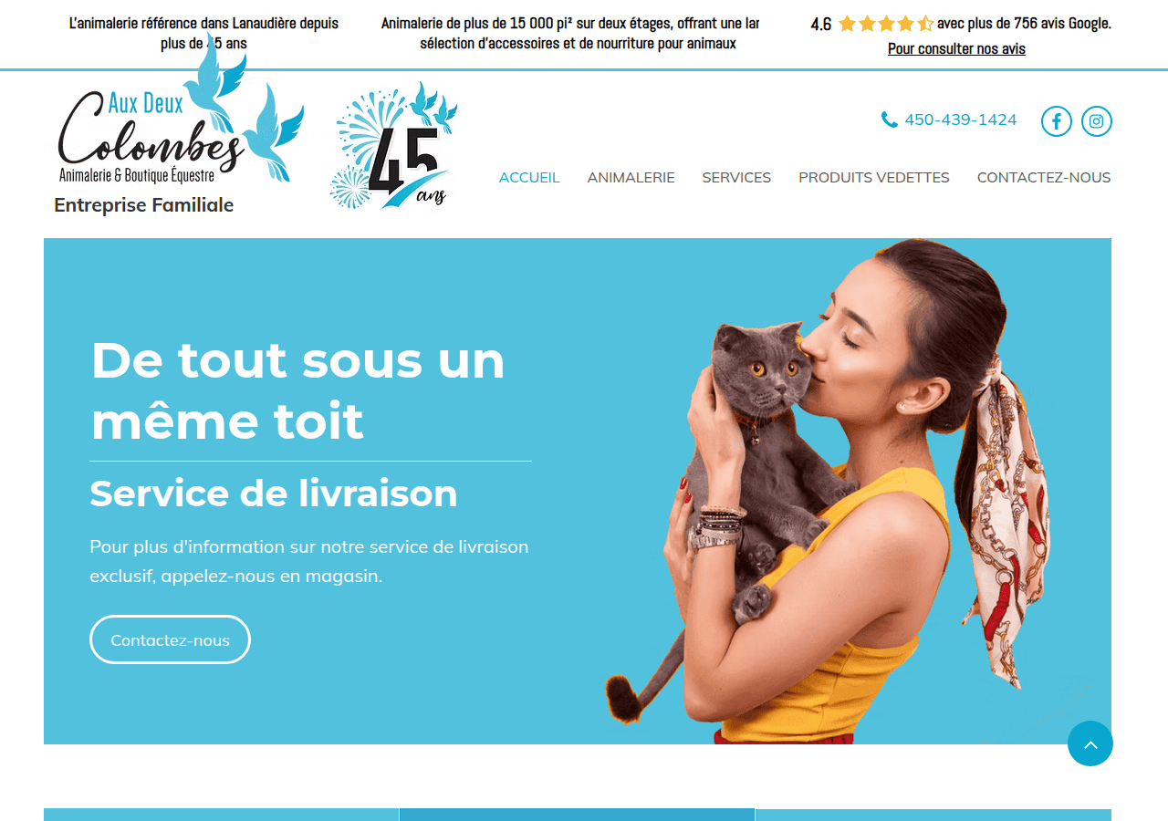 Screenshot of 2colombes.com