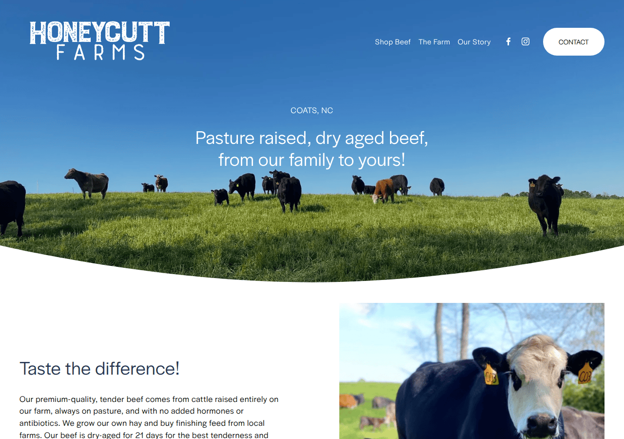 Screenshot of honeycuttfarmsnc.com