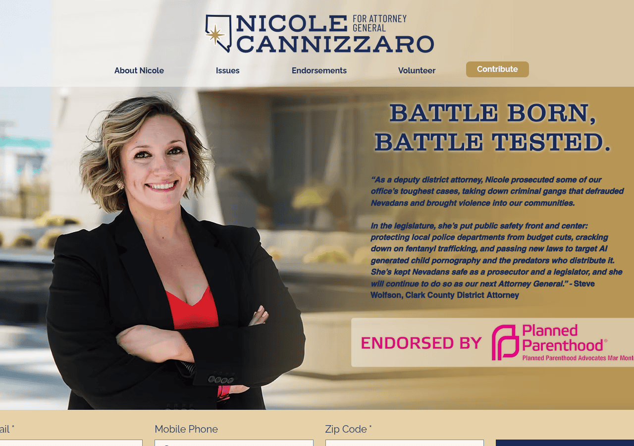 Screenshot of nicolecannizzaro.com