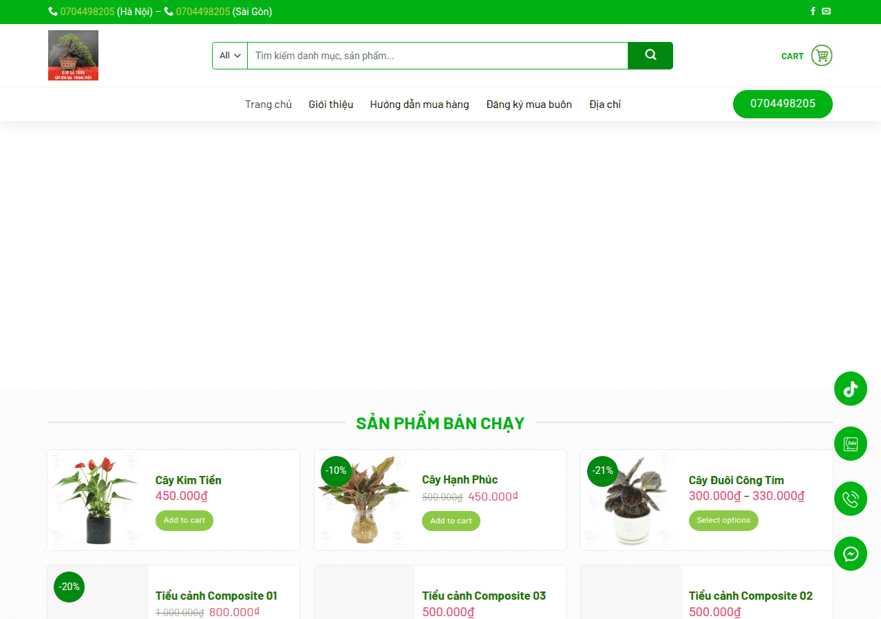 Screenshot of kimsatung.website