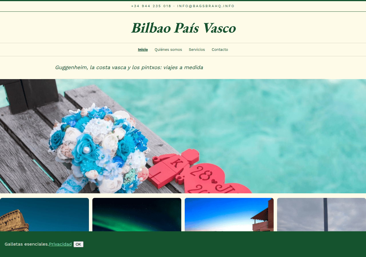 Screenshot of bagsbrahq.info