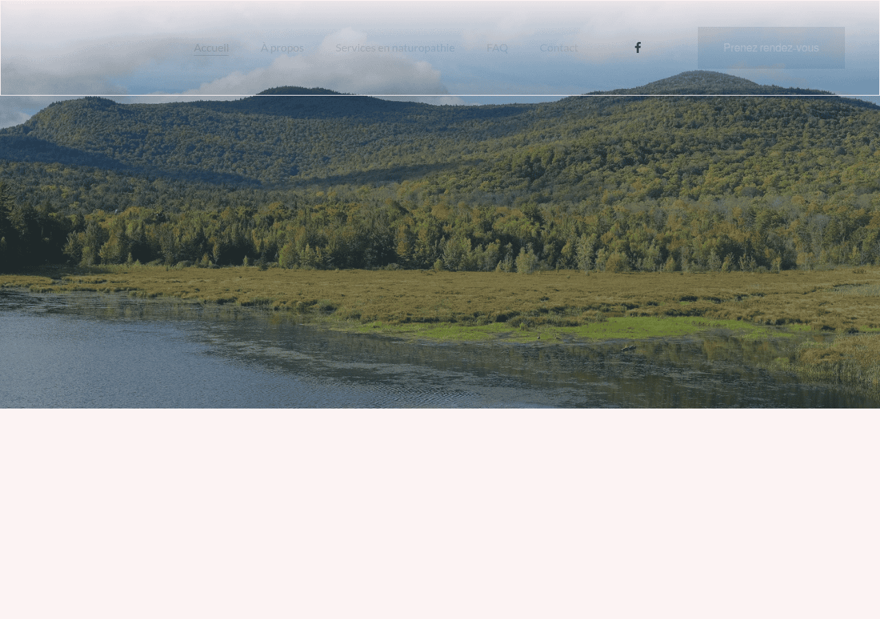 Screenshot of gabrielleplanesnaturopathie.ca