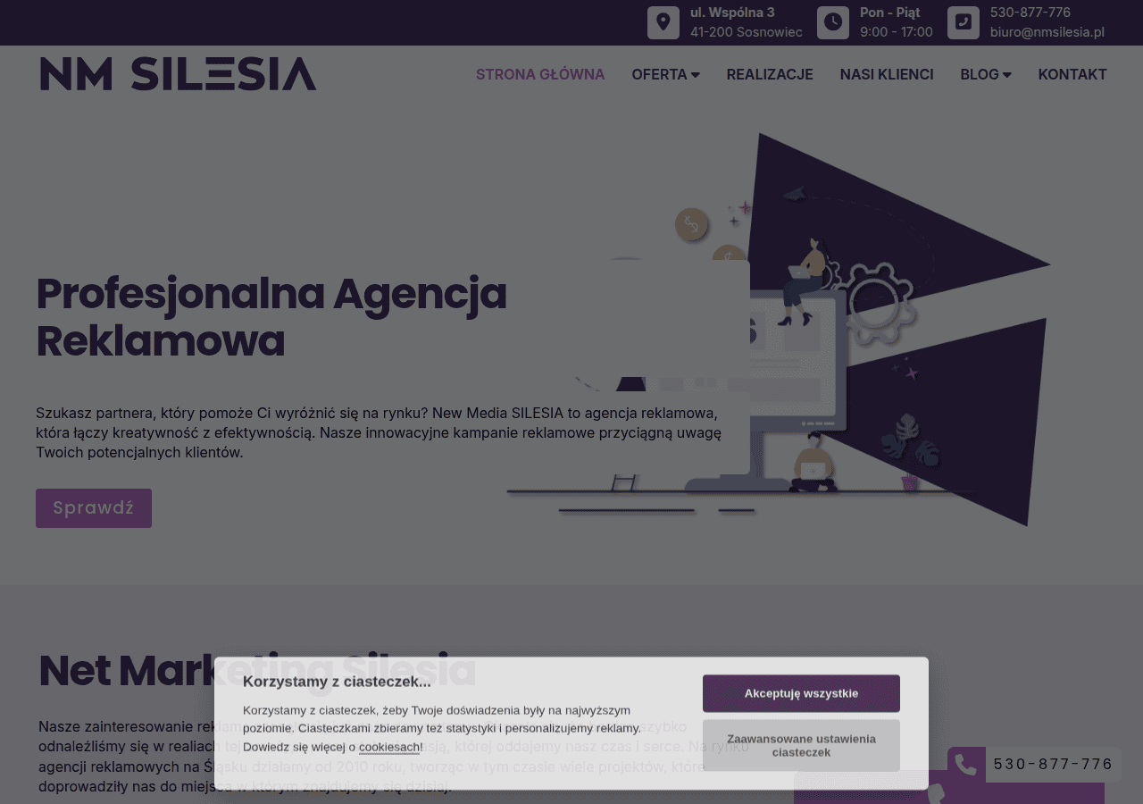 Screenshot of nmsilesia.pl