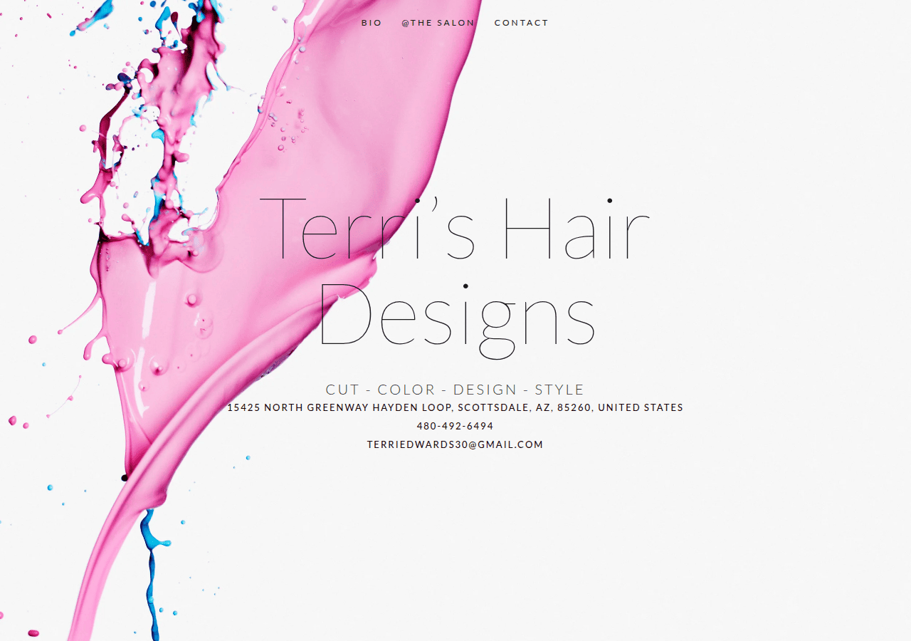 Screenshot of terri.salon
