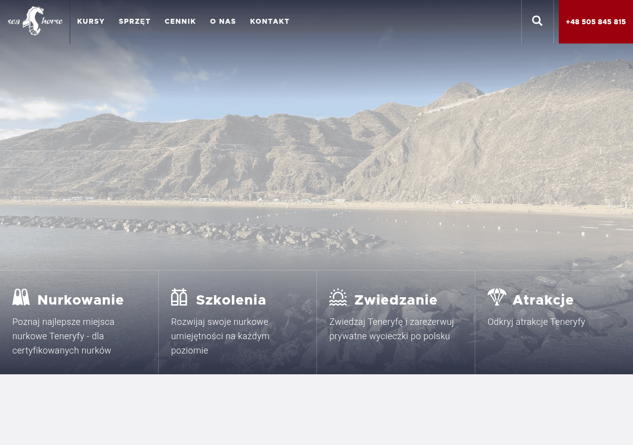 Screenshot of seahorsetravel.pl