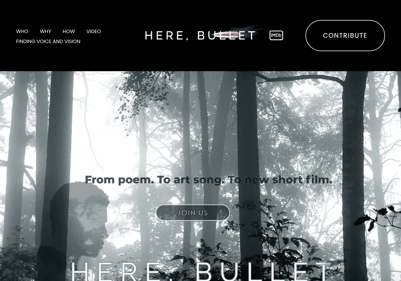 Screenshot of herebulletthefilm.com