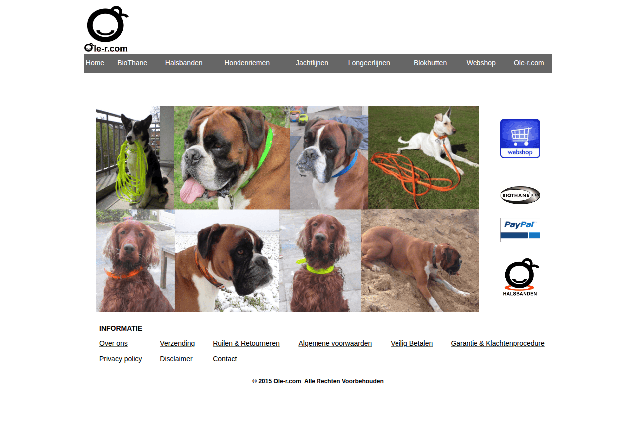 Screenshot of ole-r.com