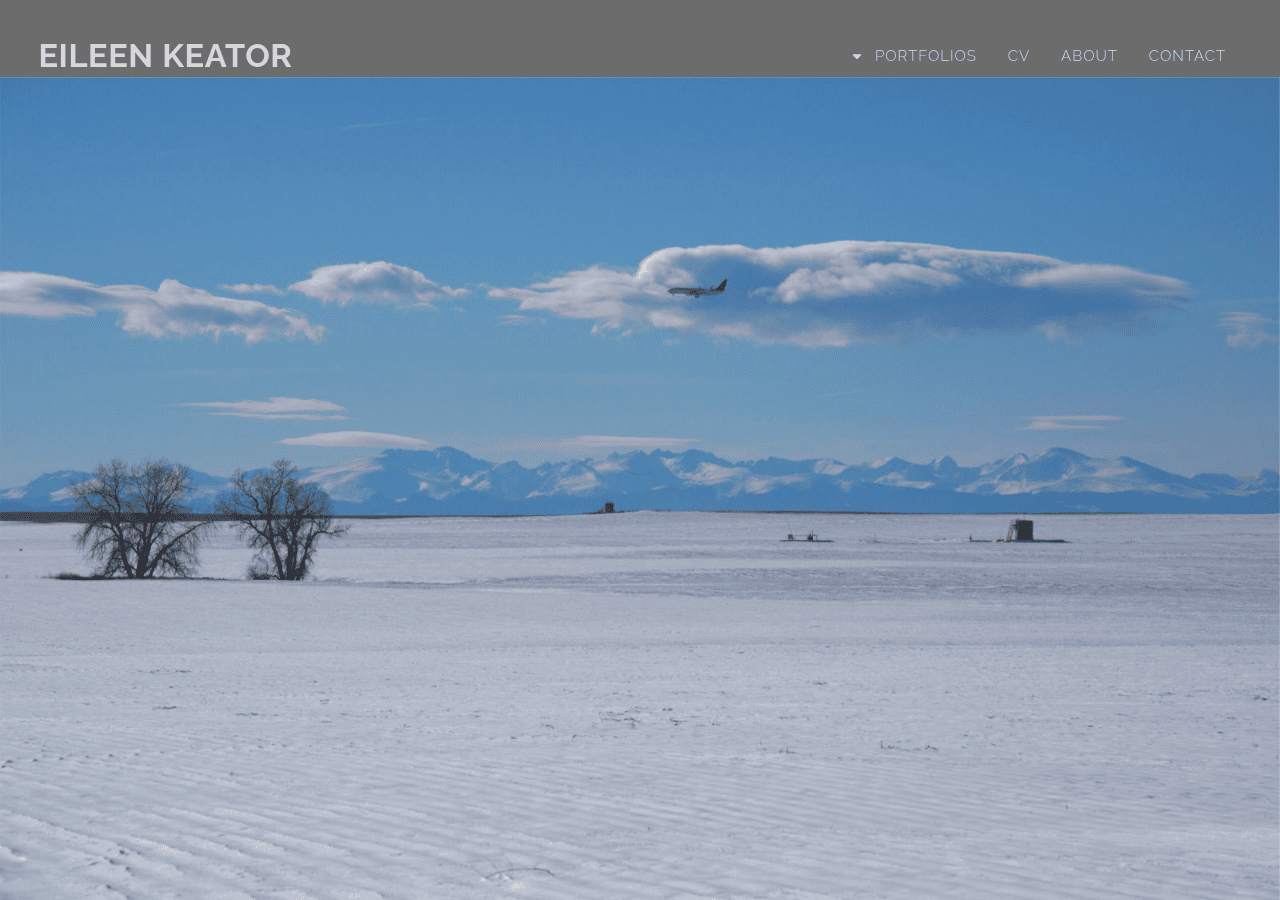 Screenshot of eileenkeator.com