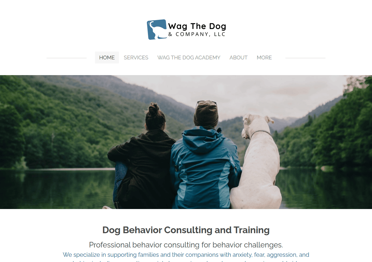 Screenshot of wagthedogandcompany.com