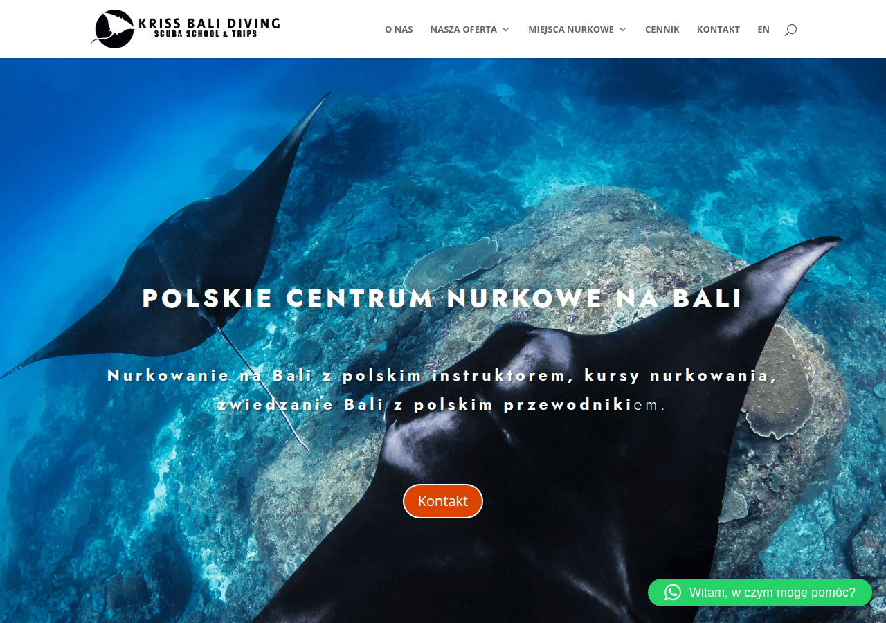 Screenshot of divingbali.pl
