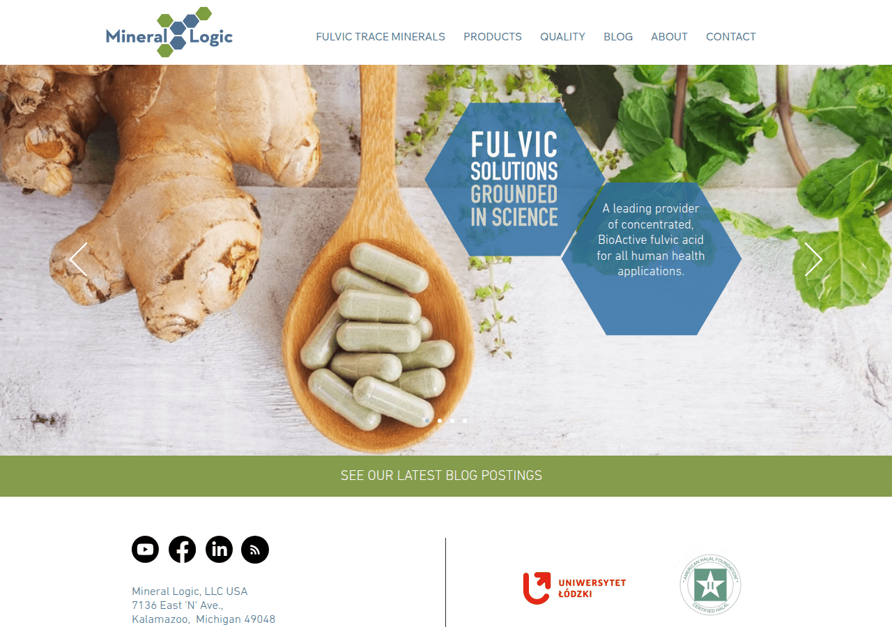 Screenshot of minerallogic.com