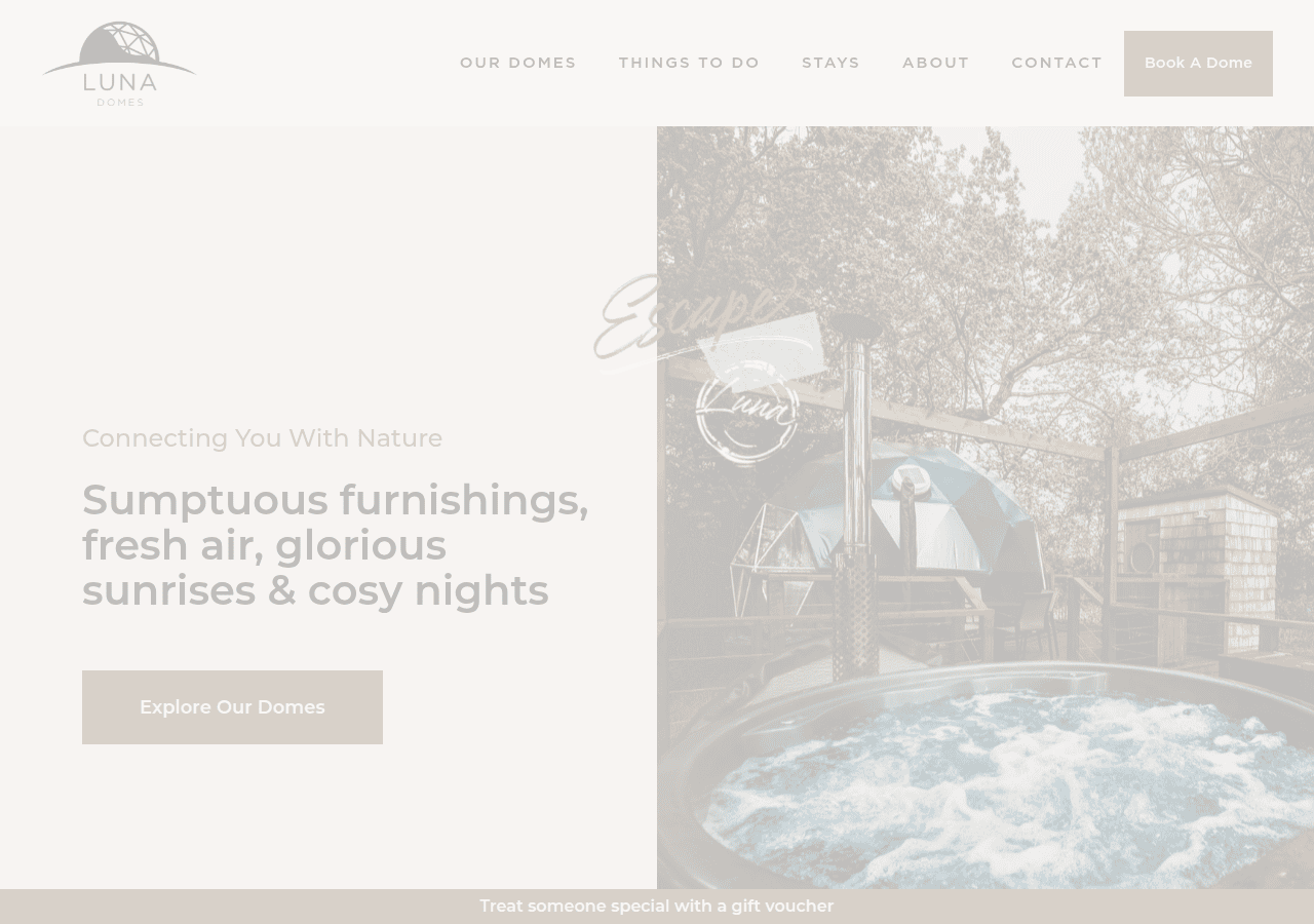 Screenshot of lunadomes.com