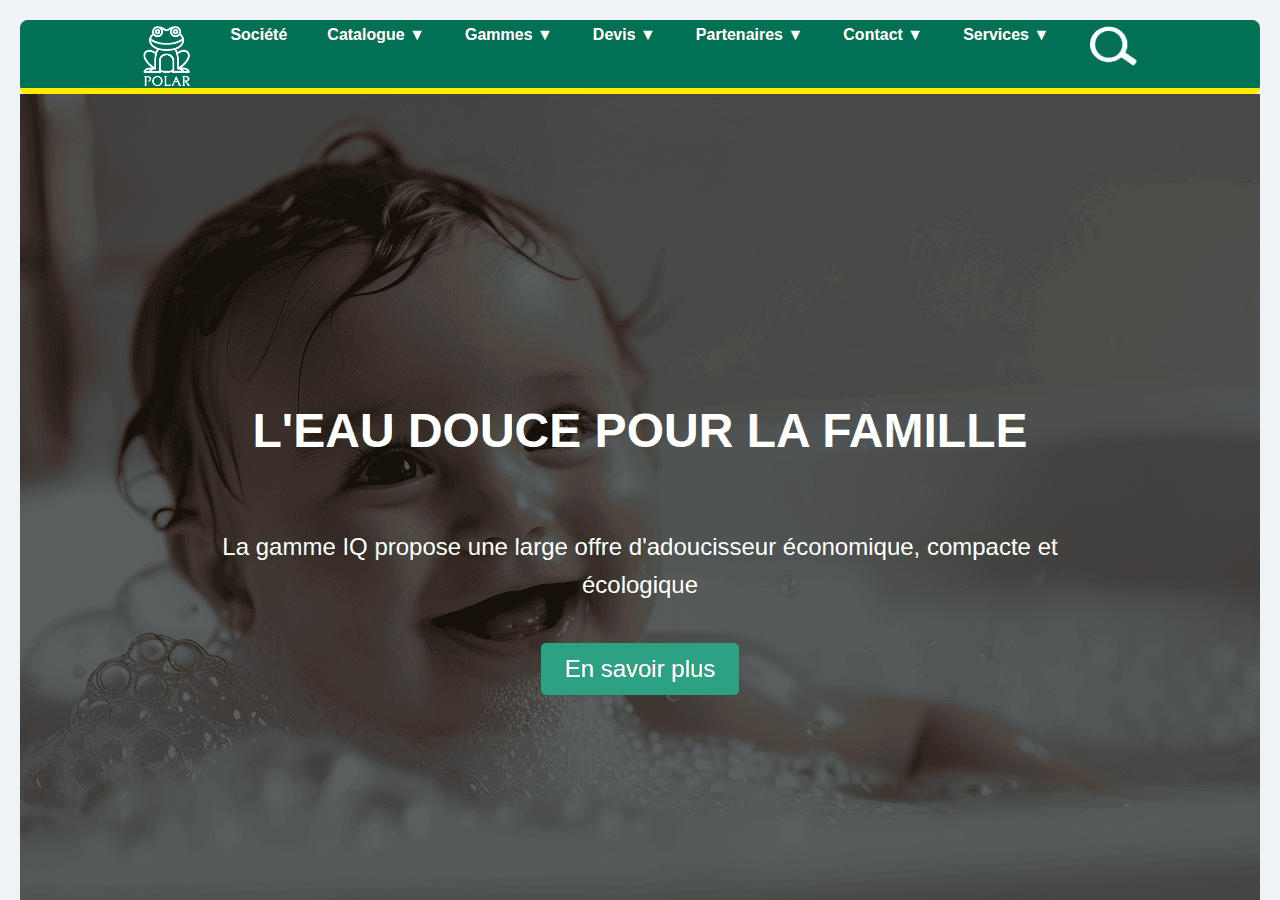 Screenshot of polar-france.com