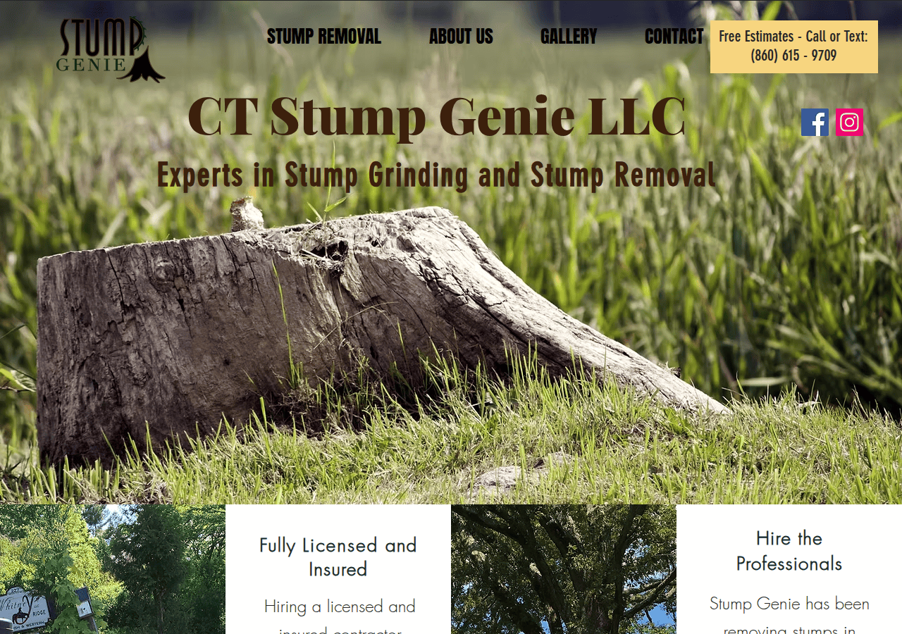 Screenshot of ctstumpgenie.com
