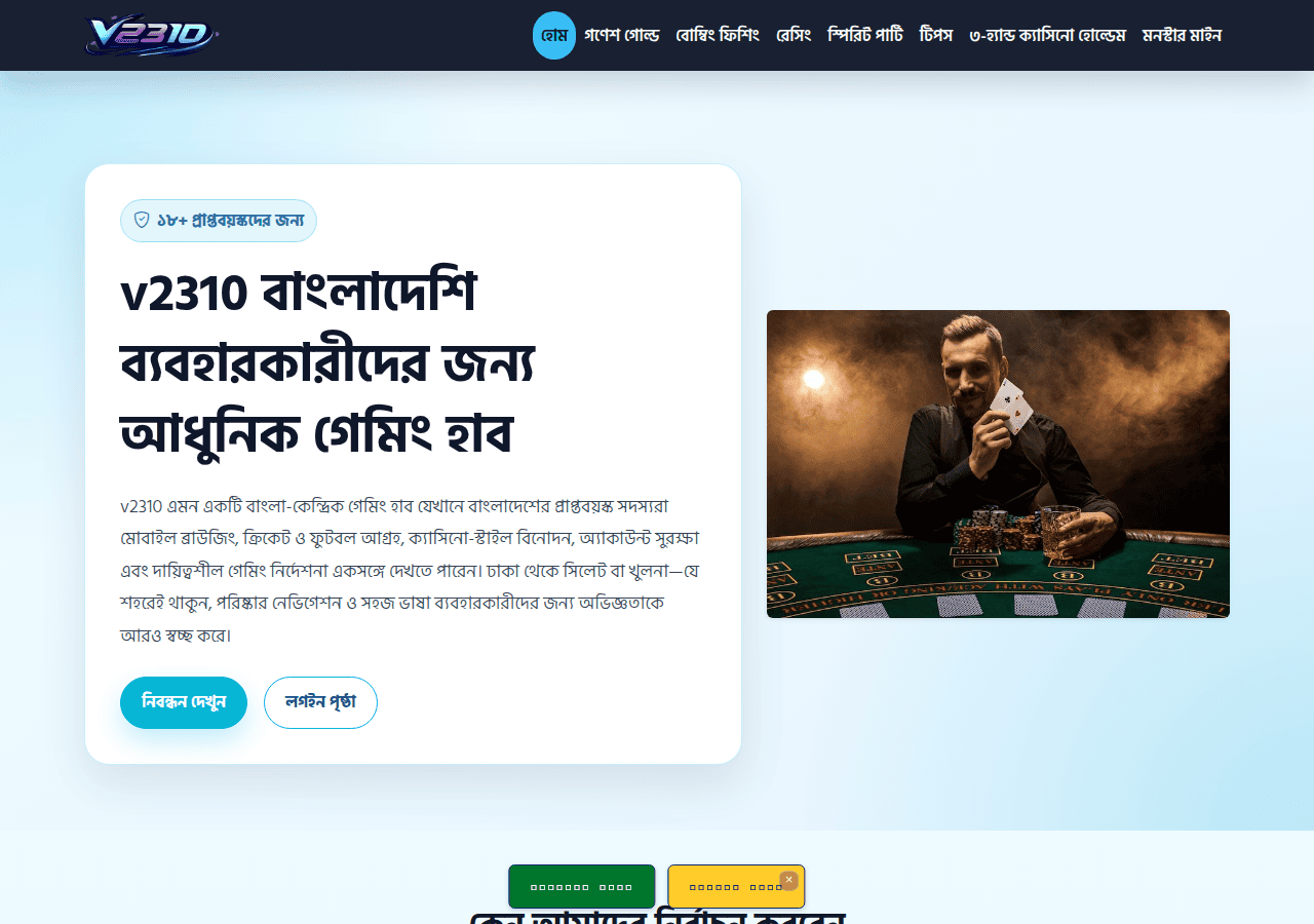 Screenshot of v2310.net