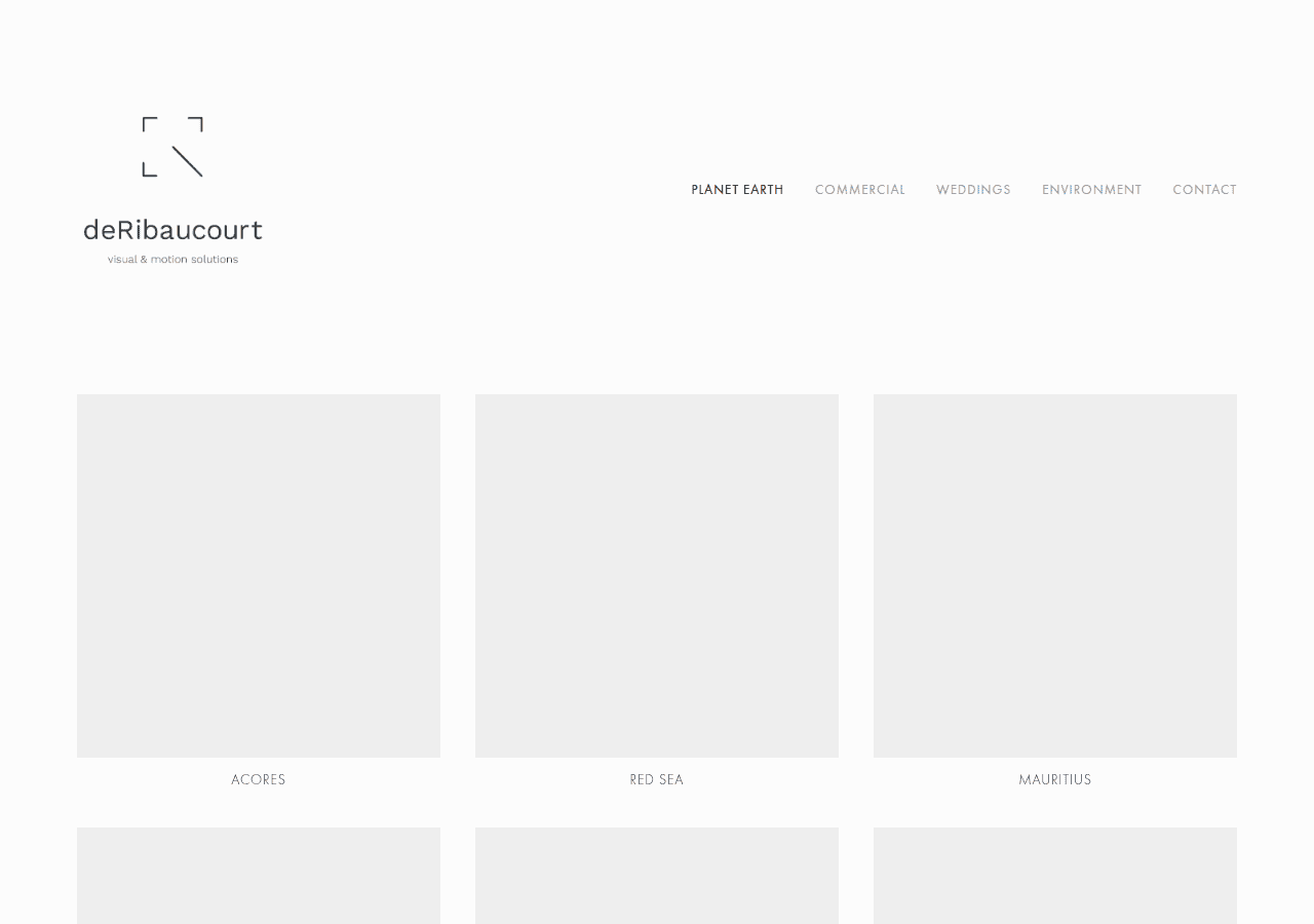Screenshot of deribaucourt.com