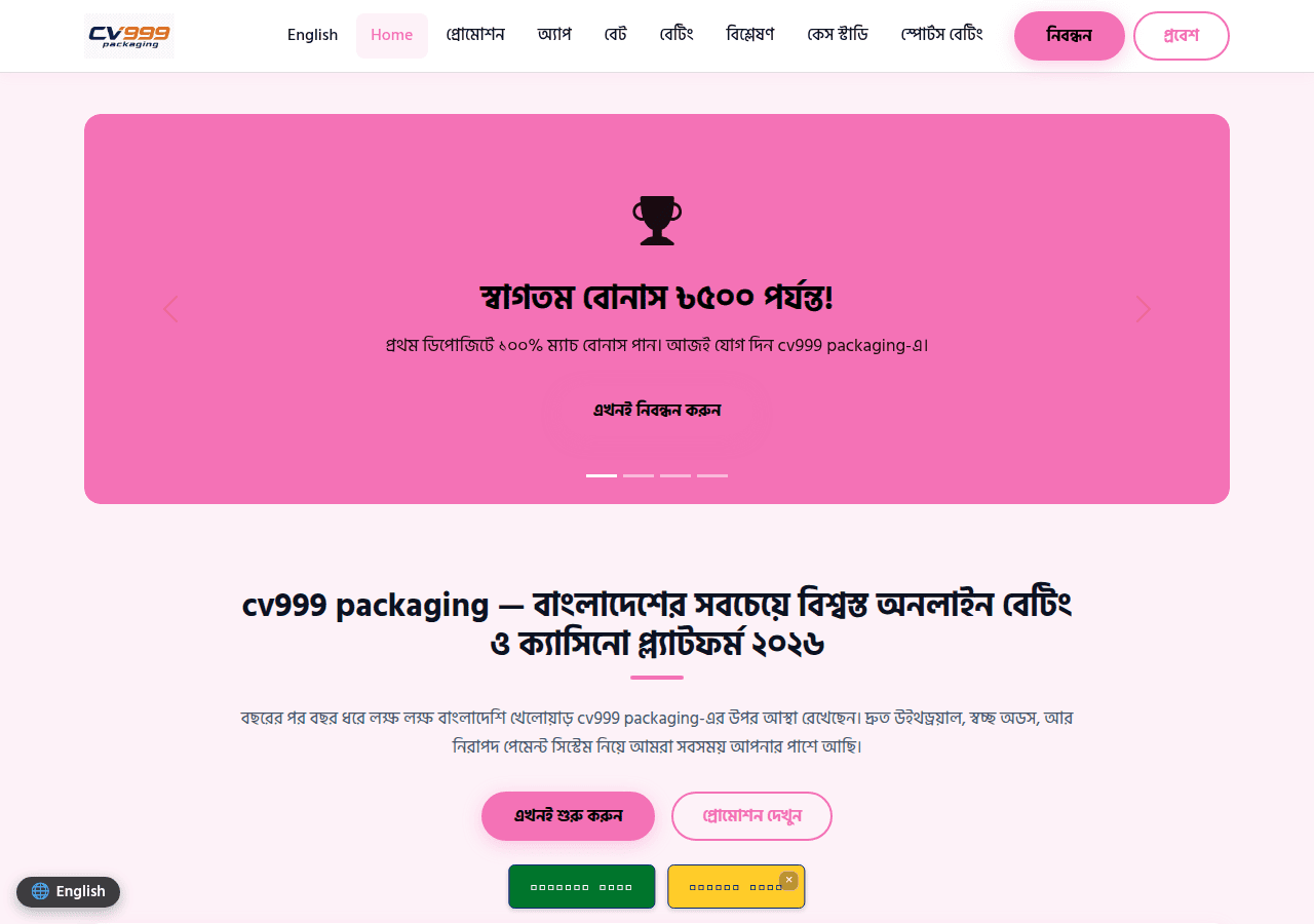 Screenshot of cv999packaging.com