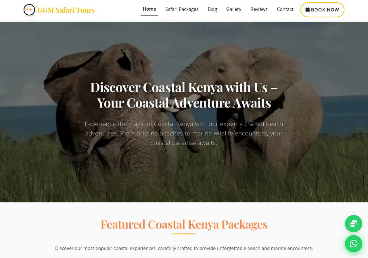 Screenshot of ggmsafaritours.com