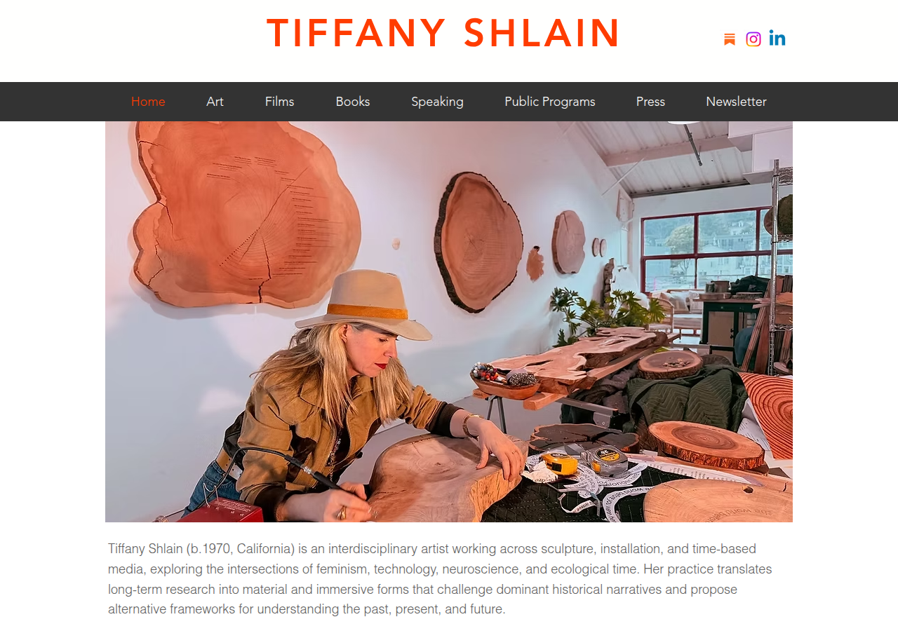 Screenshot of tiffanyshlain.com