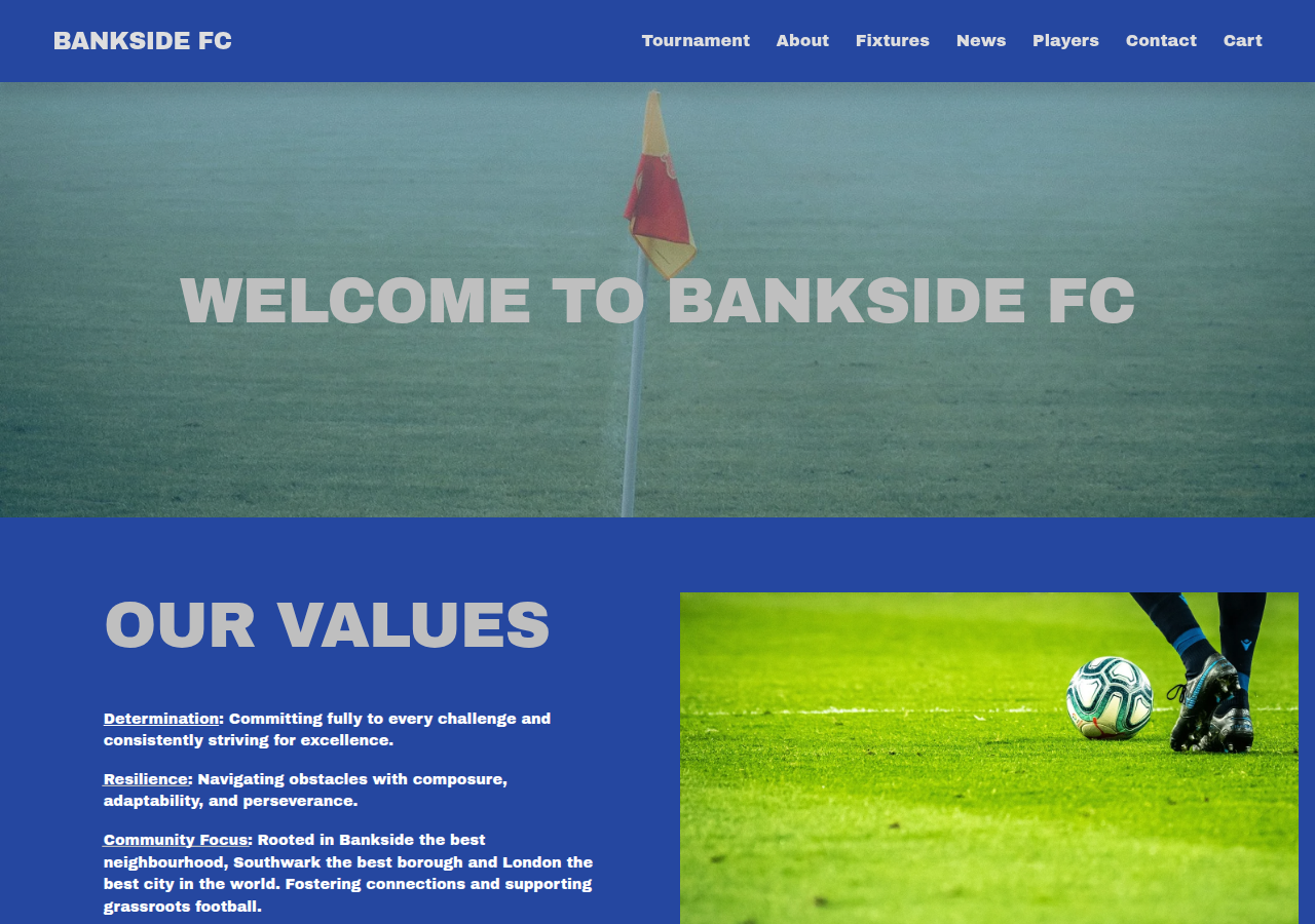 Screenshot of banksidefc.co.uk