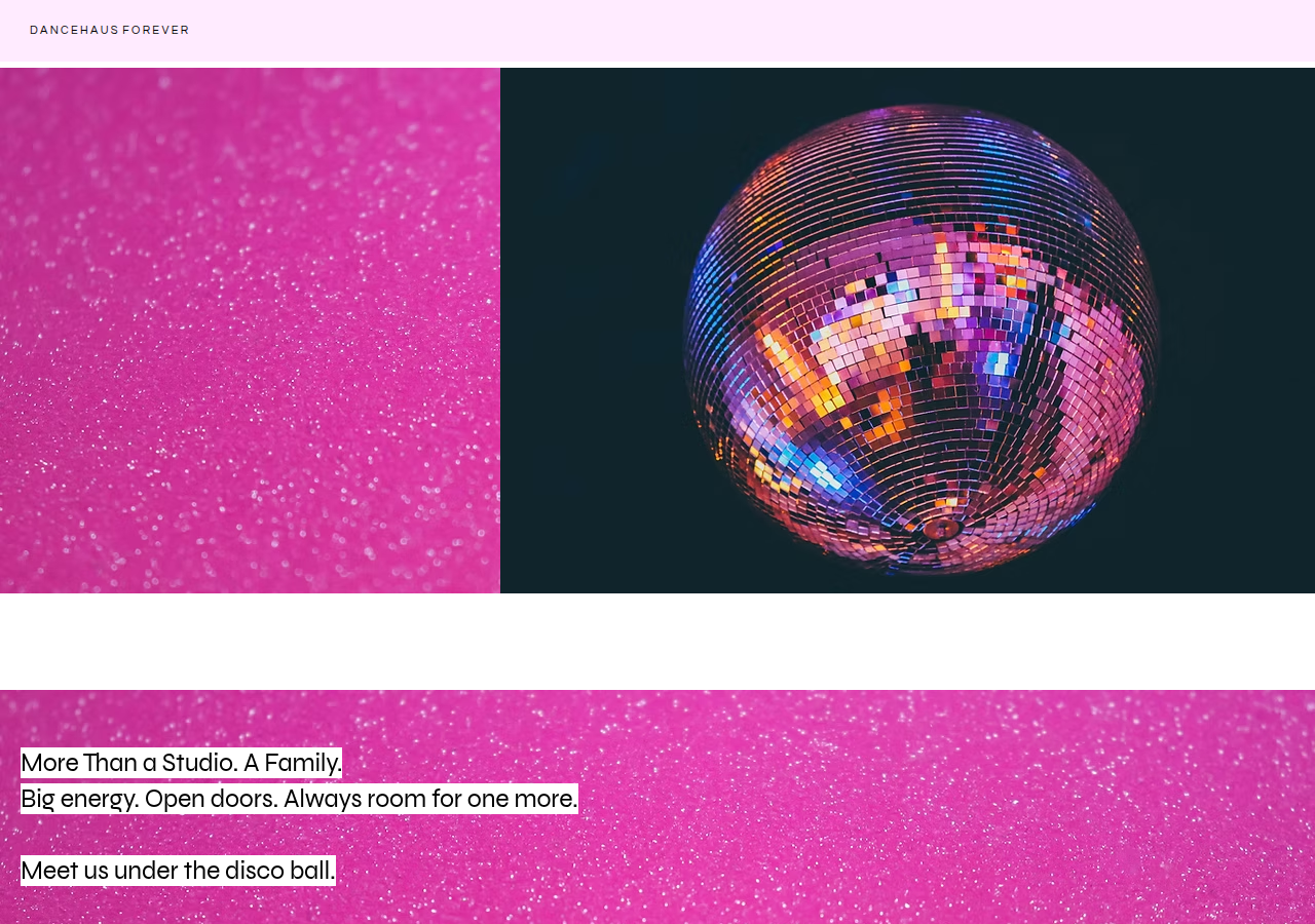 Screenshot of dancehausmontclair.com