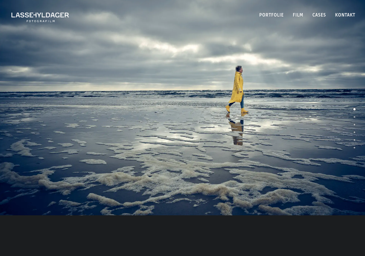 Screenshot of hyldager.net