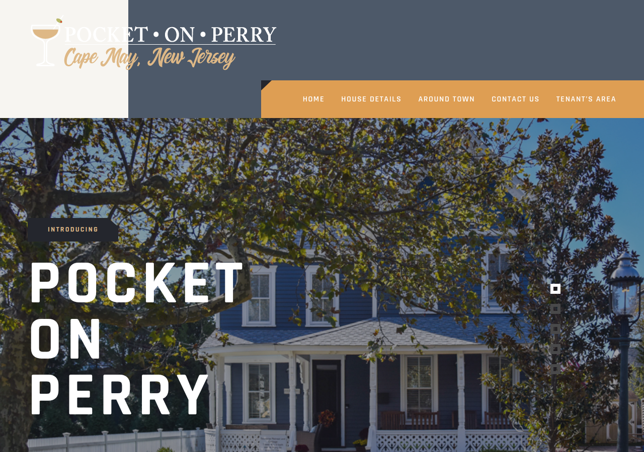Screenshot of pocketonperry.com