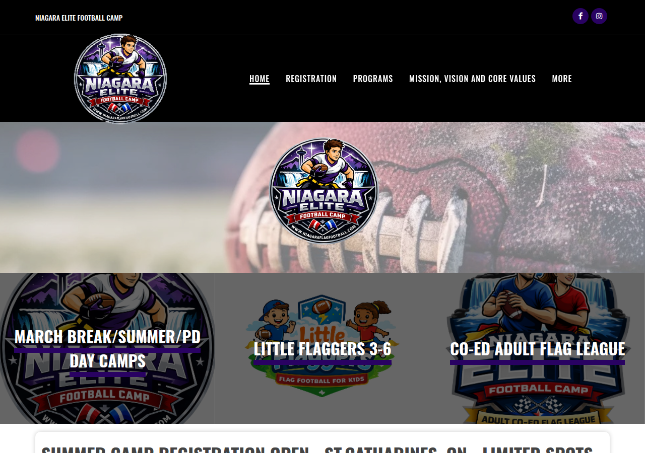 Screenshot of niagaraflagfootball.ca