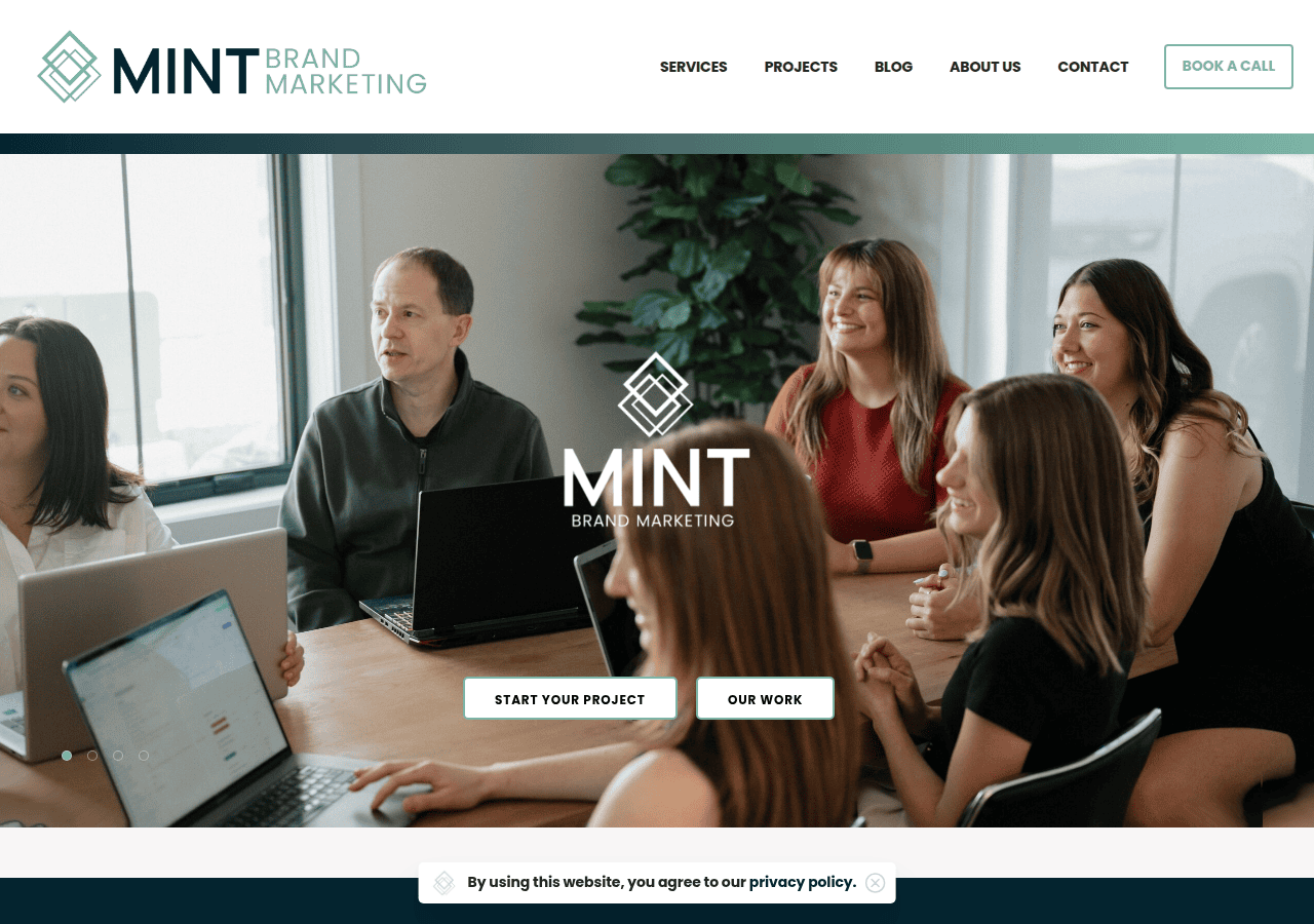 Screenshot of mintbrandmarketing.com