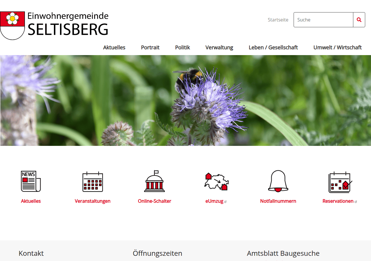 Screenshot of seltisberg.ch