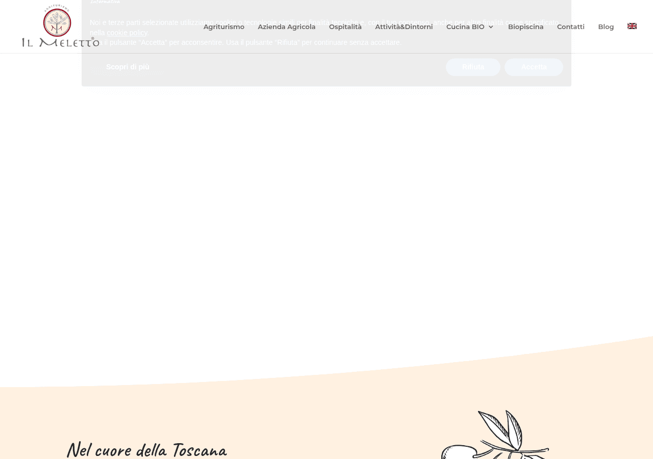 Screenshot of ilmeletto.it