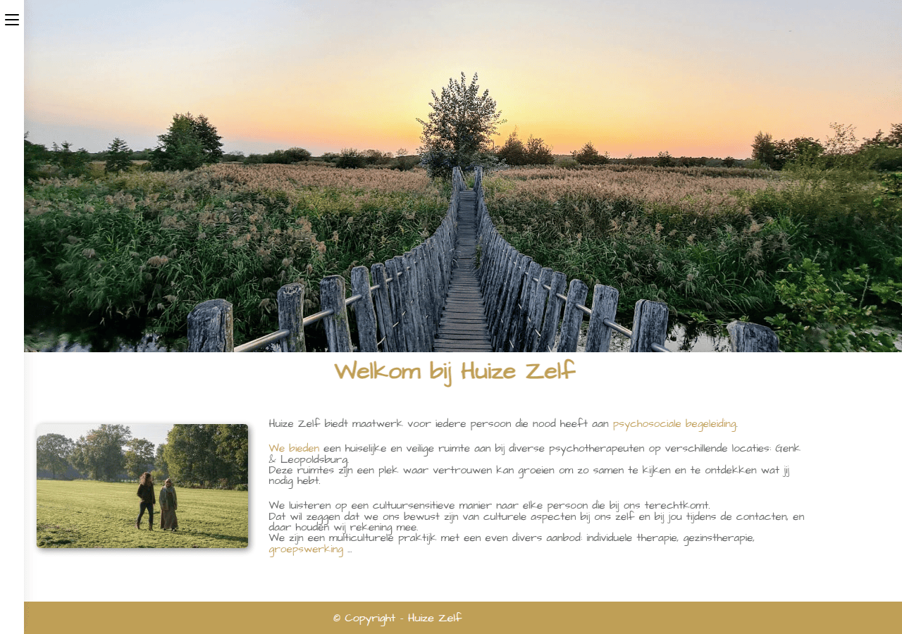 Screenshot of huizezelfpsychotherapie.be
