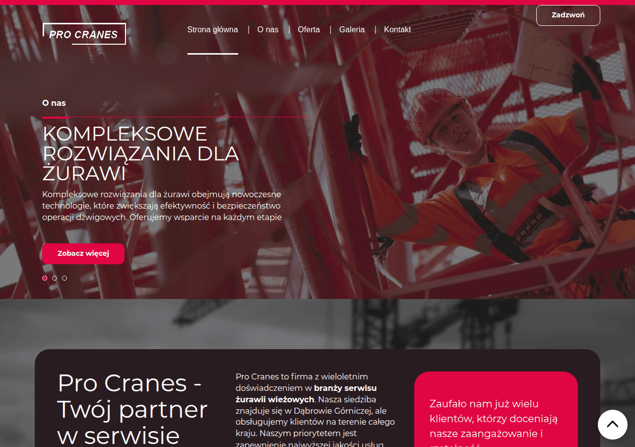 Screenshot of procranes.pl