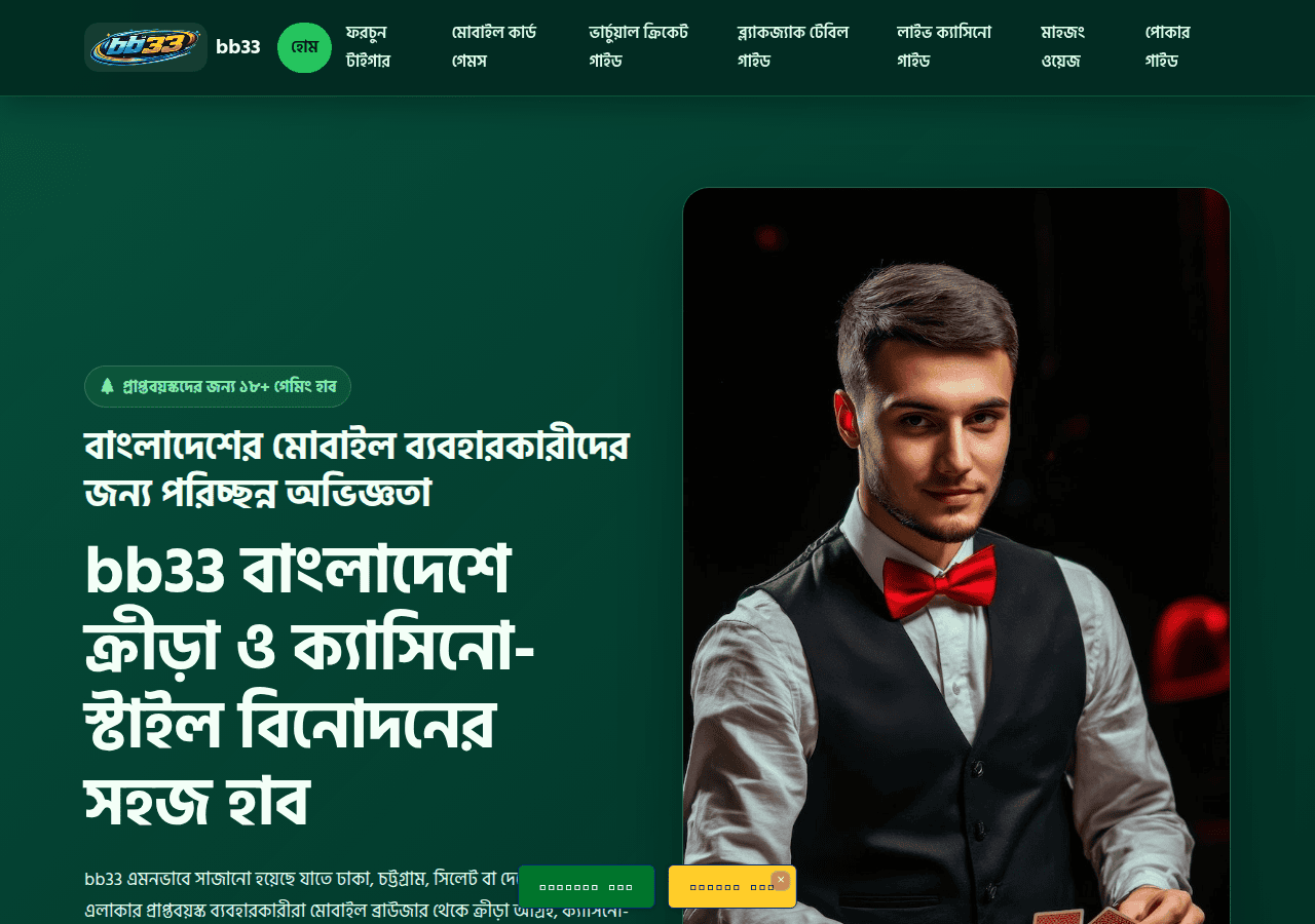 Screenshot of bb33.ws