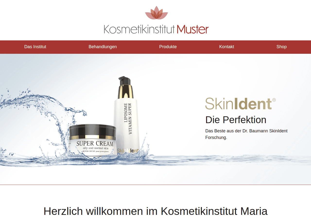 Screenshot of dr-baumann-institut.com