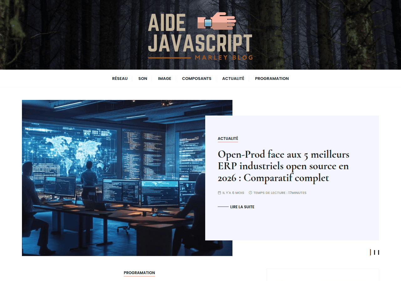 Screenshot of aidejavascript.com
