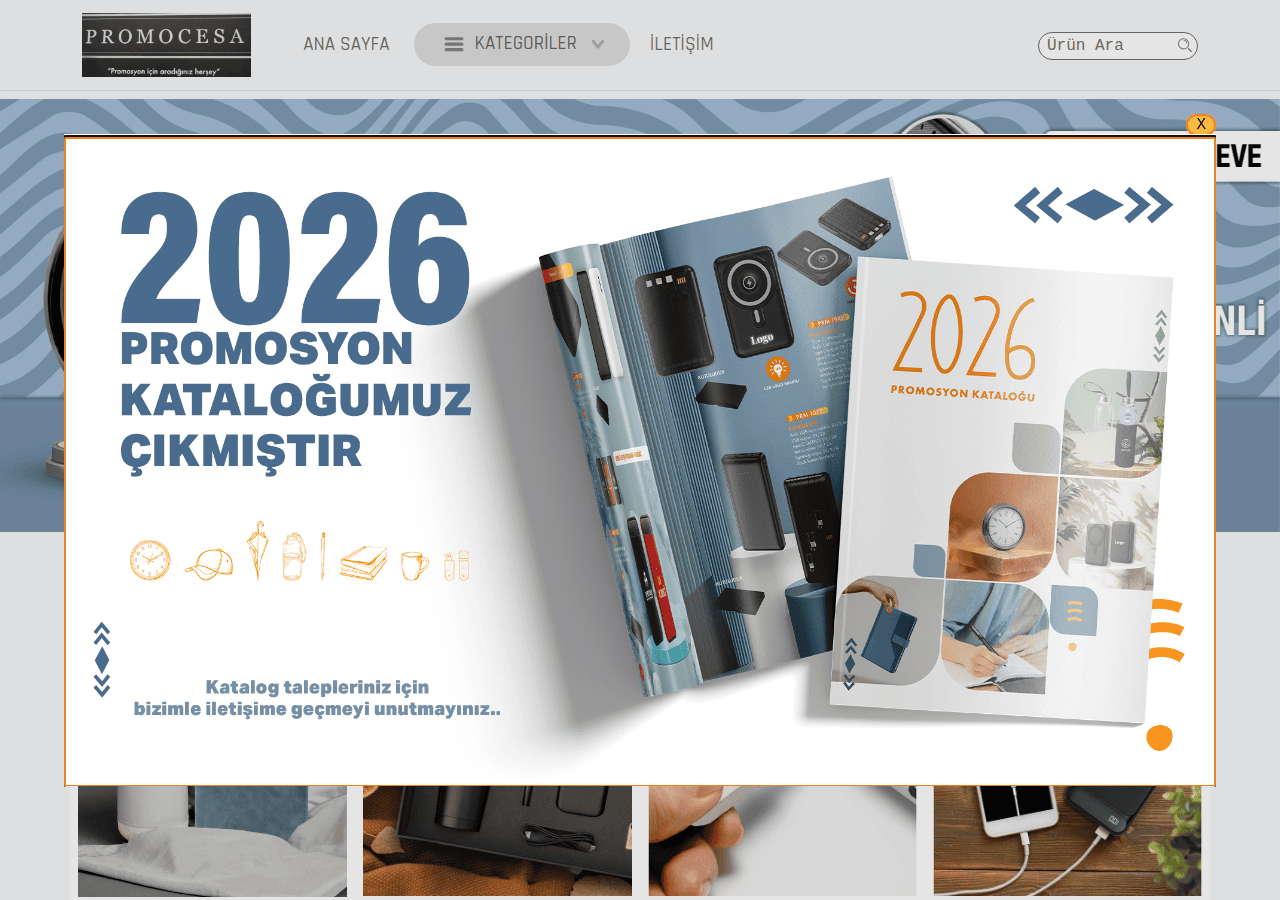 Screenshot of promocesa.com