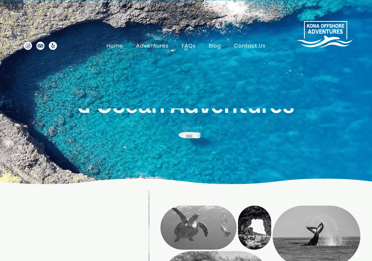 Screenshot of konaoffshoreadventures.com