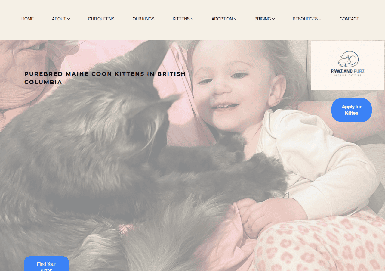 Screenshot of pawzandpurzmainecoons.com