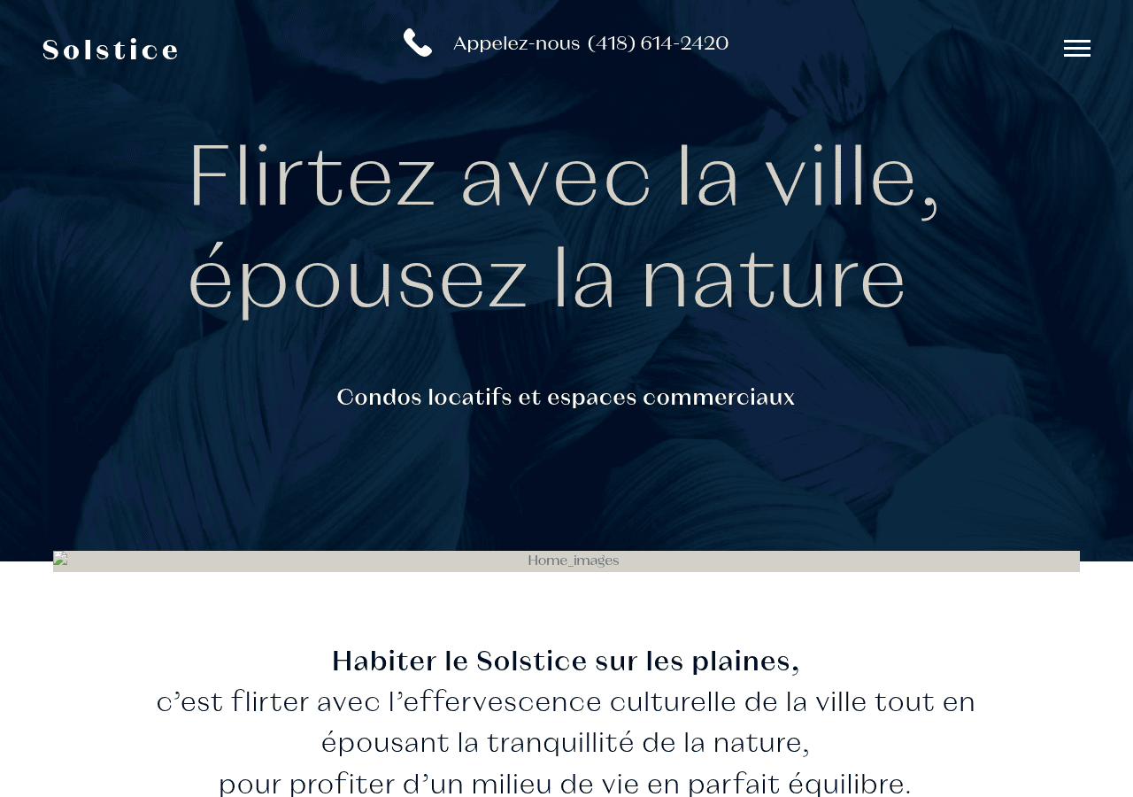 Screenshot of lesolstice.ca
