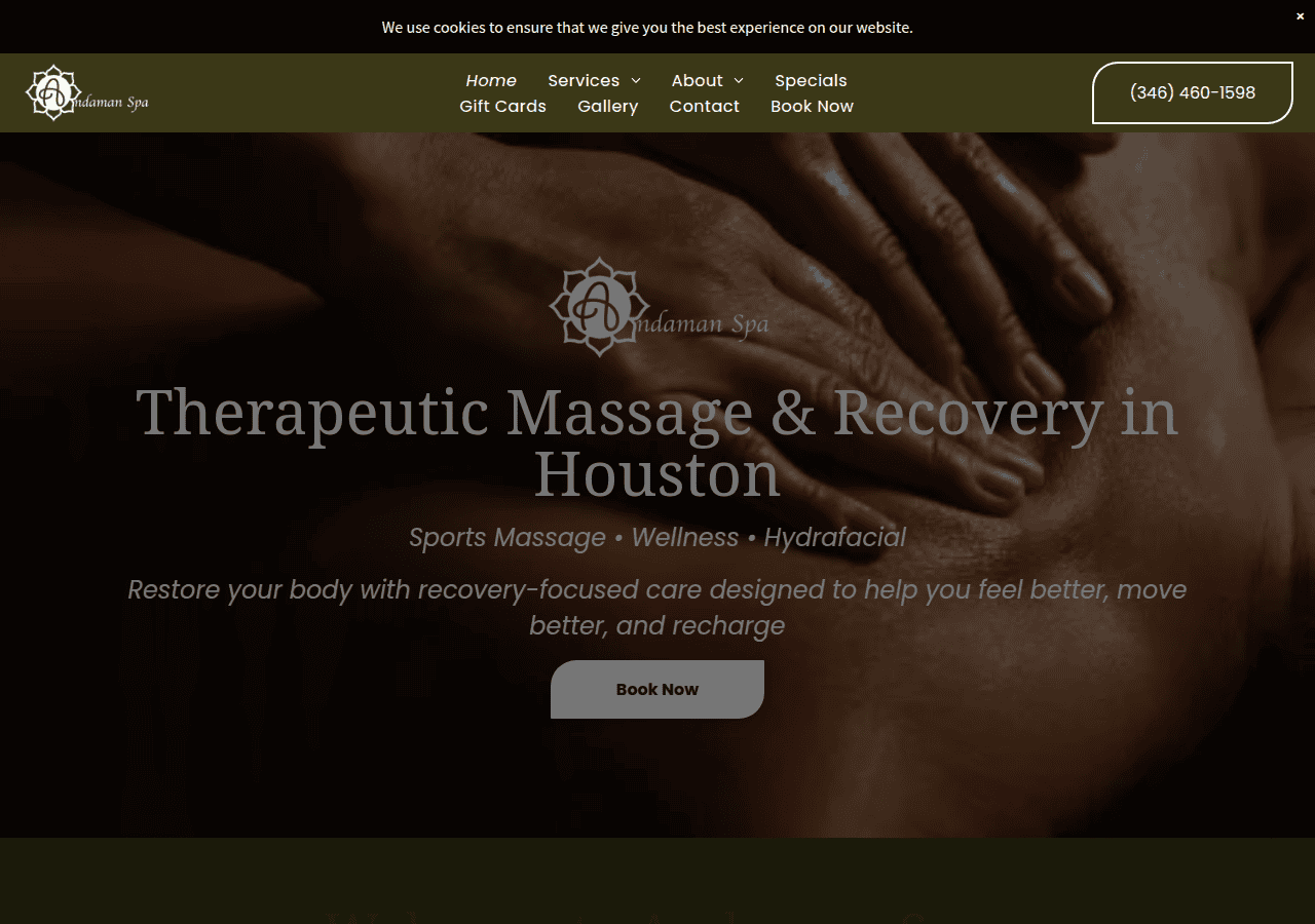 Screenshot of andamanspahouston.com