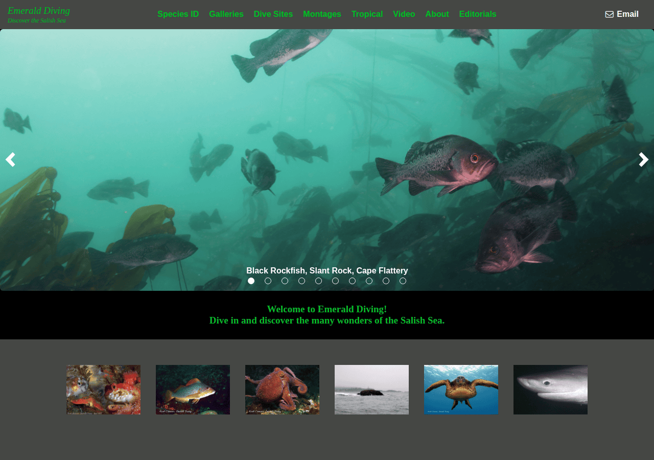 Screenshot of emeralddiving.com